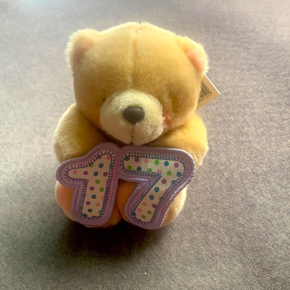 Forever friends 17th birthday small plush top nwt